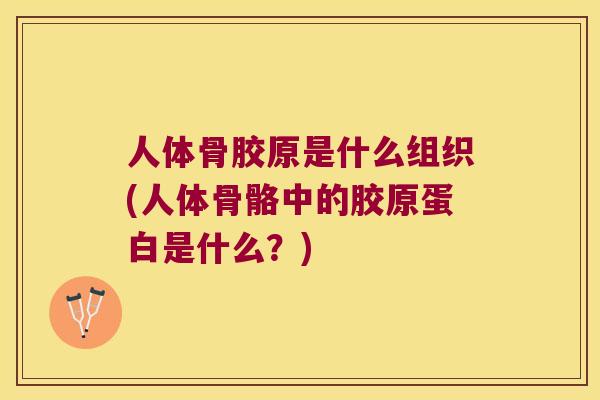 人体骨胶原是什么组织(人体骨骼中的胶原蛋白是什么？)