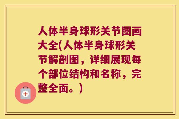 人体半身球形关节图画大全(人体半身球形关节解剖图,详细展现每个部位结构和名称,完整全面。) 人体半身球形关节图画大全(人体半身球形关节解剖图,详细展现每个部位结构和名称,完整全面。)