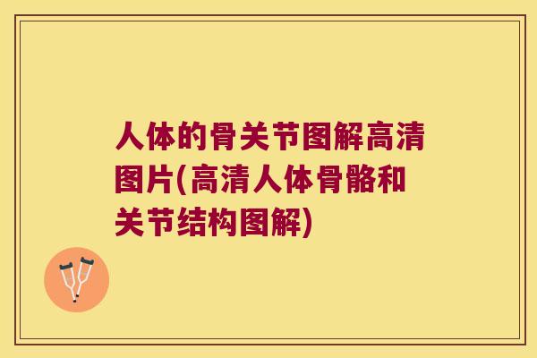 人体的骨关节图解高清图片(高清人体骨骼和关节结构图解)