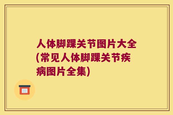 人体脚踝关节图片大全(常见人体脚踝关节图片全集) 人体脚踝关节图片大全(常见人体脚踝关节图片全集)