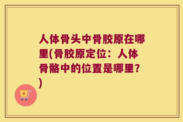 人体骨头中骨胶原在哪里(骨胶原定位:人体骨骼中的位置是哪里?) 人体骨头中骨胶原在哪里(骨胶原定位:人体骨骼中的位置是哪里?)