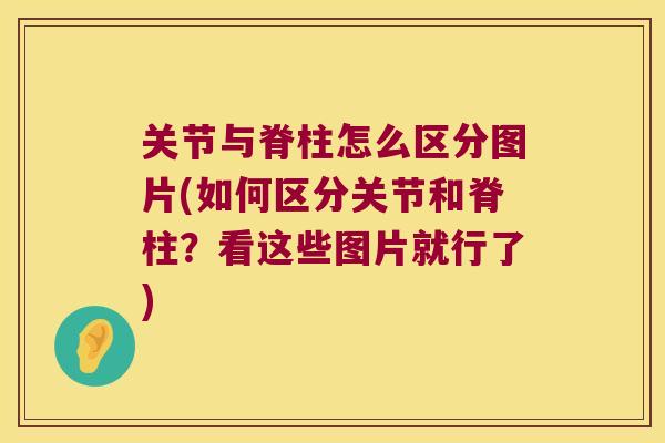 关节与脊柱怎么区分图片(如何区分关节和脊柱？看这些图片就行了)