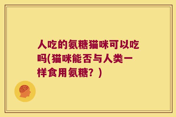 人吃的氨糖猫咪可以吃吗(猫咪能否与人类一样食用氨糖？)