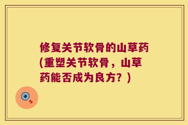 修复关节软骨的山草药(重塑关节软骨,山草药能否成为良方?) 修复关节软骨的山草药(重塑关节软骨,山草药能否成为良方?)