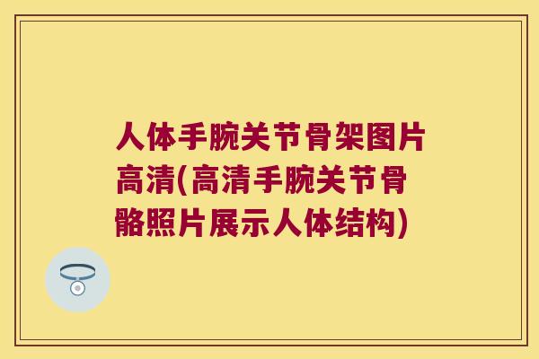 人体手腕关节骨架图片高清(高清手腕关节骨骼照片展示人体结构)