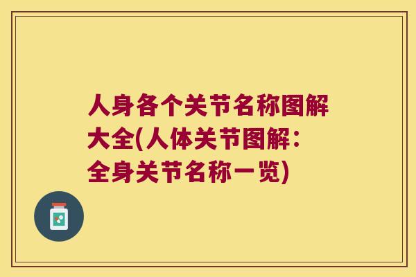 人身各个关节名称图解大全(人体关节图解:全身关节名称一览) 人身各个关节名称图解大全(人体关节图解:全身关节名称一览)