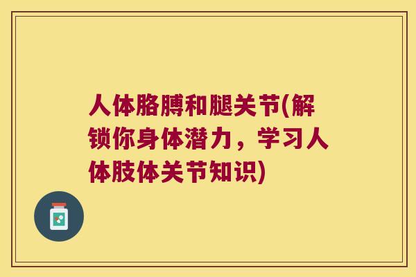 人体胳膊和腿关节(解锁你身体潜力,学习人体肢体关节知识) 人体胳膊和腿关节(解锁你身体潜力,学习人体肢体关节知识)