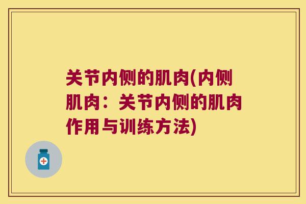 关节内侧的肌肉(内侧肌肉:关节内侧的肌肉作用与训练方法) 关节内侧的肌肉(内侧肌肉:关节内侧的肌肉作用与训练方法)