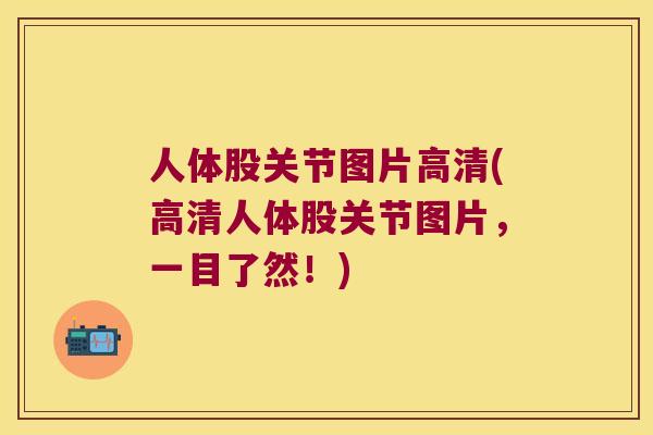 人体股关节图片高清(高清人体股关节图片，一目了然！)