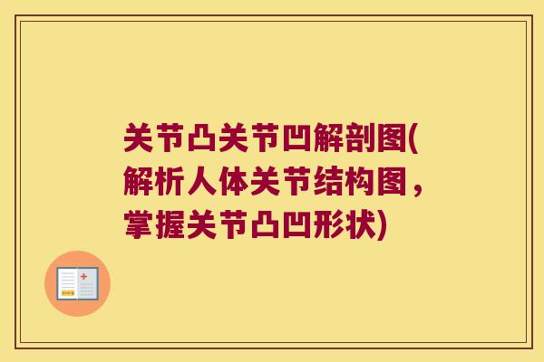 关节凸关节凹解剖图(解析人体关节结构图,掌握关节凸凹形状) 关节凸关节凹解剖图(解析人体关节结构图,掌握关节凸凹形状)