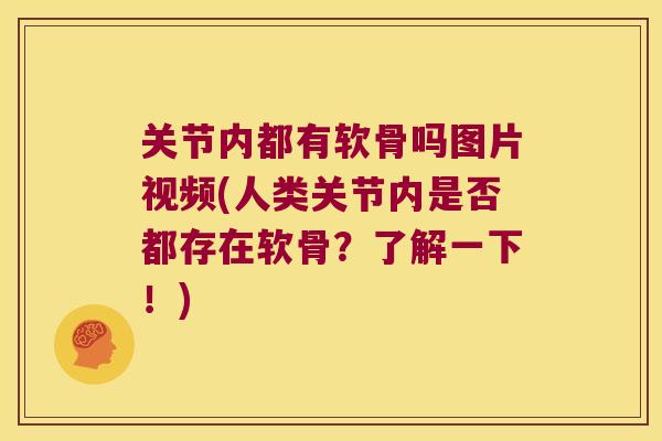 关节内都有软骨吗图片视频(人类关节内是否都存在软骨?了解一下!) 关节内都有软骨吗图片视频(人类关节内是否都存在软骨?了解一下!)