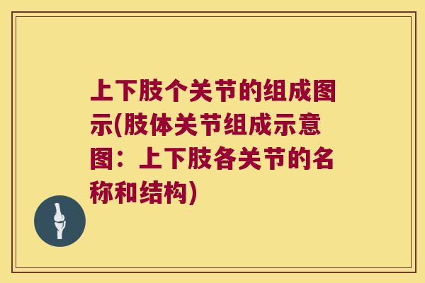 上下肢个关节的组成图示(肢体关节组成示意图：上下肢各关节的名称和结构)