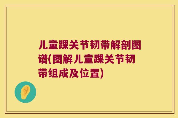 儿童踝关节韧带解剖图谱(图解儿童踝关节韧带组成及位置) 儿童踝关节韧带解剖图谱(图解儿童踝关节韧带组成及位置)