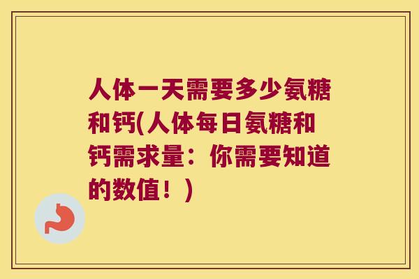 人体一天需要多少氨糖和钙(人体每日氨糖和钙需求量：你需要知道的数值！)