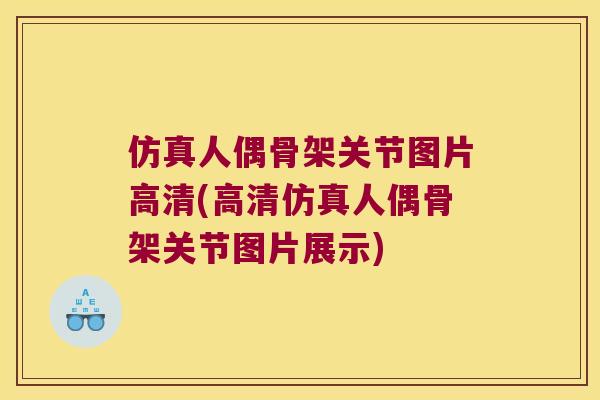 仿真人偶骨架关节图片高清(高清仿真人偶骨架关节图片展示)