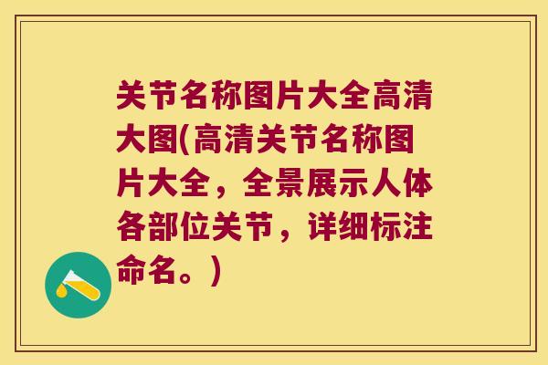 关节名称图片大全高清大图(高清关节名称图片大全,全景展示人体各部位关节,详细标注命名。) 关节名称图片大全高清大图(高清关节名称图片大全,全景展示人体各部位关节,详细标注命名。)