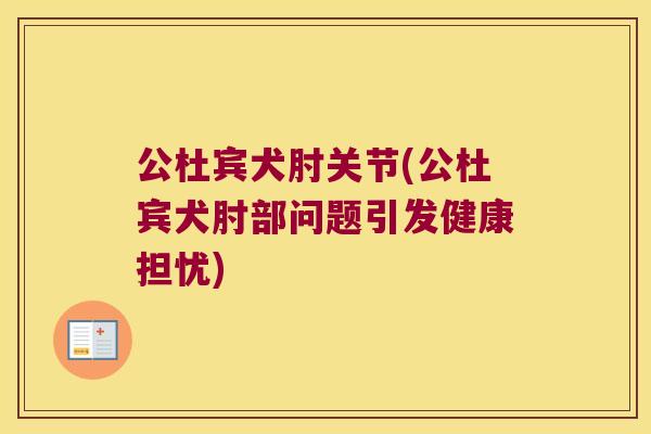 公杜宾犬肘关节(公杜宾犬肘部问题引发健康担忧) 公杜宾犬肘关节(公杜宾犬肘部问题引发健康担忧)