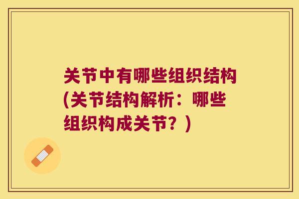 关节中有哪些组织结构(关节结构解析:哪些组织构成关节?) 关节中有哪些组织结构(关节结构解析:哪些组织构成关节?)