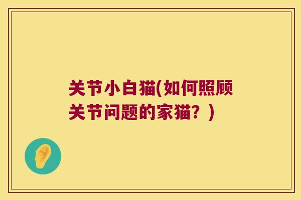 关节小白猫(如何照顾关节问题的家猫?) 关节小白猫(如何照顾关节问题的家猫?)