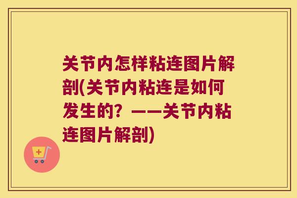 关节内怎样粘连图片解剖(关节内粘连是如何发生的？——关节内粘连图片解剖)