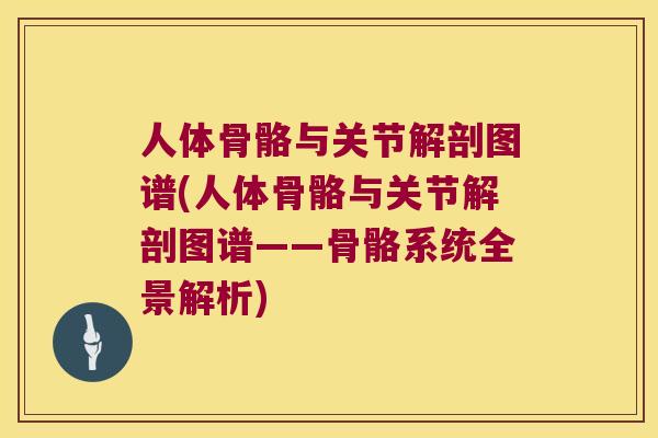 人体骨骼与关节解剖图谱(人体骨骼与关节解剖图谱——骨骼系统全景解析)