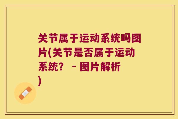 关节属于运动系统吗图片(关节是否属于运动系统？ - 图片解析)