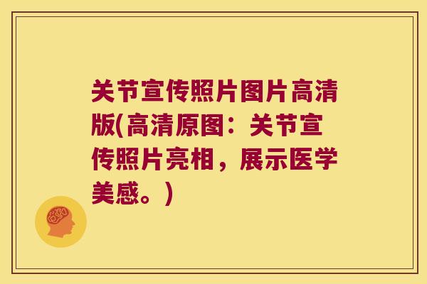 关节宣传照片图片高清版(高清原图:关节宣传照片亮相,展示医学美感。) 关节宣传照片图片高清版(高清原图:关节宣传照片亮相,展示医学美感。)