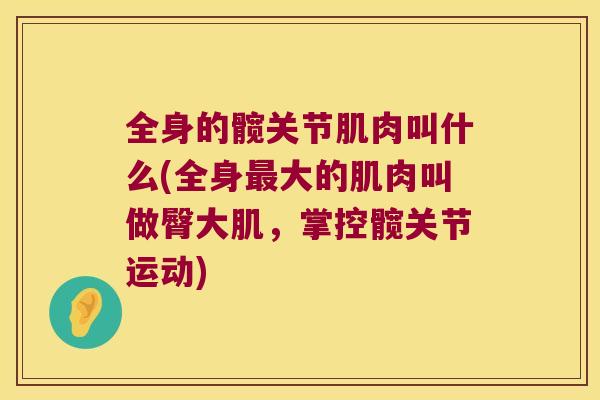 全身的髋关节肌肉叫什么(全身大的肌肉叫做臀大肌,掌控髋关节运动) 全身的髋关节肌肉叫什么(全身大的肌肉叫做臀大肌,掌控髋关节运动)