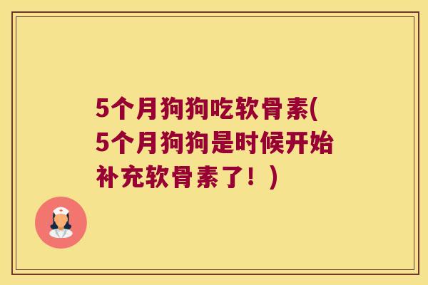 5个月狗狗吃软骨素(5个月狗狗是时候开始补充软骨素了!) 5个月狗狗吃软骨素(5个月狗狗是时候开始补充软骨素了!)