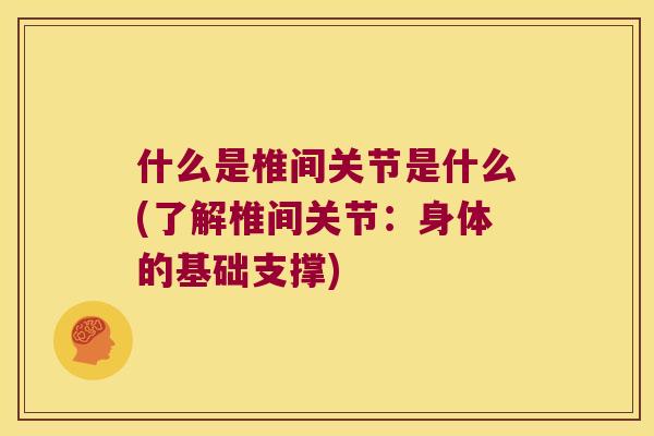什么是椎间关节是什么(了解椎间关节：身体的基础支撑)
