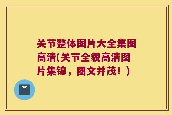 关节整体图片大全集图高清(关节全貌高清图片集锦,图文并茂!) 关节整体图片大全集图高清(关节全貌高清图片集锦,图文并茂!)