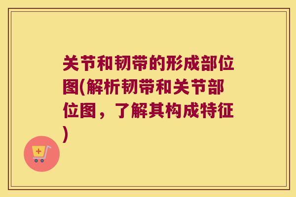 关节和韧带的形成部位图(解析韧带和关节部位图,了解其构成特征) 关节和韧带的形成部位图(解析韧带和关节部位图,了解其构成特征)