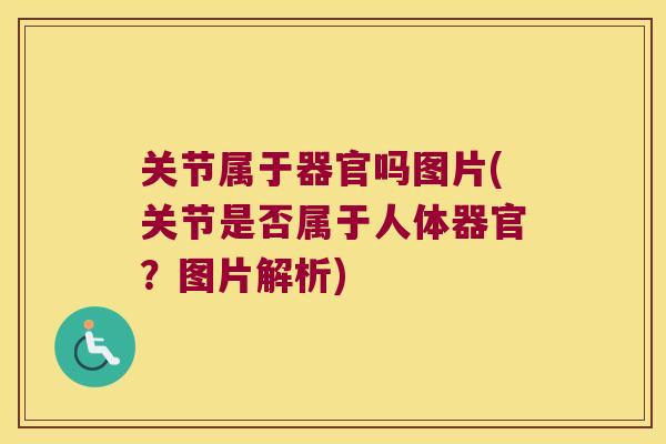 关节属于器官吗图片(关节是否属于人体器官？图片解析)