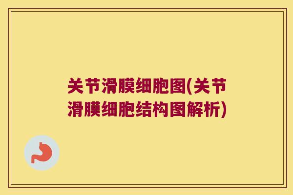 关节滑膜细胞图(关节滑膜细胞结构图解析) 关节滑膜细胞图(关节滑膜细胞结构图解析)