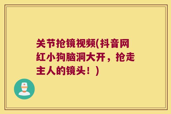 关节抢镜视频(抖音网红小狗脑洞大开,抢走主人的镜头!) 关节抢镜视频(抖音网红小狗脑洞大开,抢走主人的镜头!)