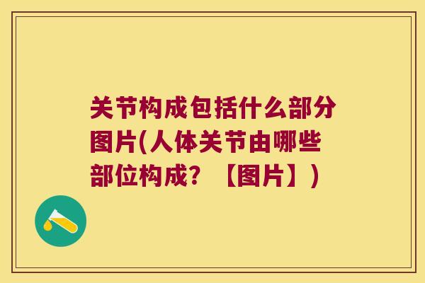 关节构成包括什么部分图片(人体关节由哪些部位构成？【图片】)