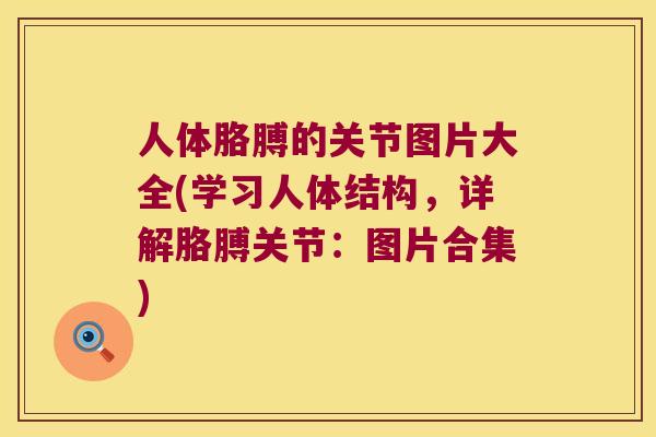 人体胳膊的关节图片大全(学习人体结构,详解胳膊关节:图片合集) 人体胳膊的关节图片大全(学习人体结构,详解胳膊关节:图片合集)