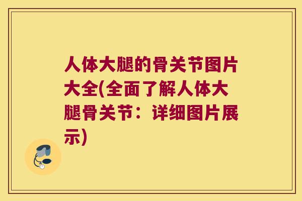 人体大腿的骨关节图片大全(全面了解人体大腿骨关节：详细图片展示)