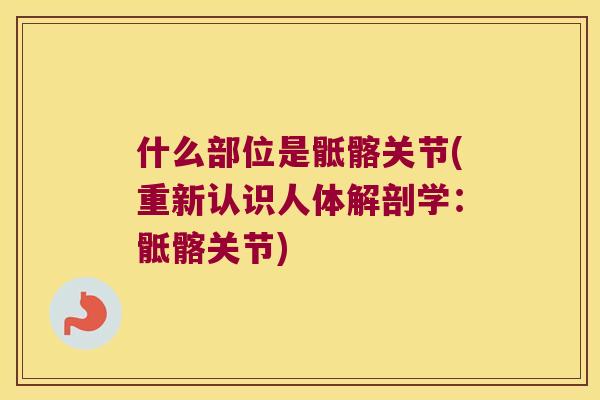 什么部位是骶髂关节(重新认识人体解剖学：骶髂关节)