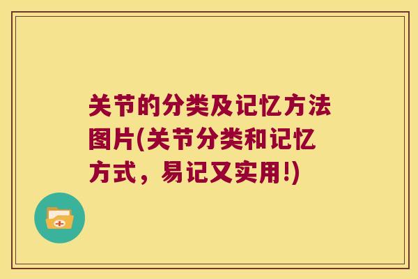 关节的分类及记忆方法图片(关节分类和记忆方式,易记又实用!) 关节的分类及记忆方法图片(关节分类和记忆方式,易记又实用!)