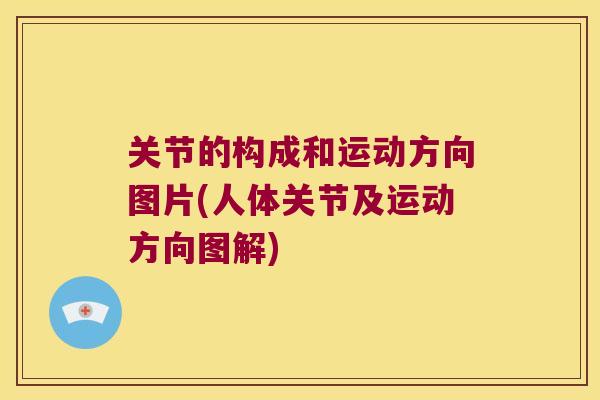 关节的构成和运动方向图片(人体关节及运动方向图解) 关节的构成和运动方向图片(人体关节及运动方向图解)