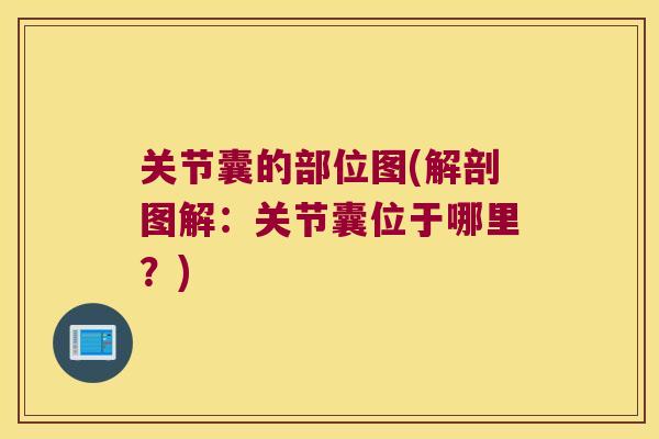 关节囊的部位图(解剖图解:关节囊位于哪里?) 关节囊的部位图(解剖图解:关节囊位于哪里?)