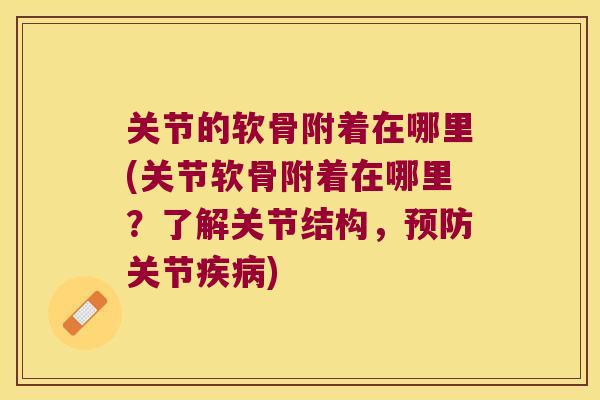 关节的软骨附着在哪里(关节软骨附着在哪里?了解关节结构,关节) 关节的软骨附着在哪里(关节软骨附着在哪里?了解关节结构,关节)