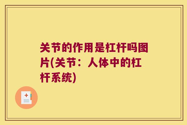 关节的作用是杠杆吗图片(关节：人体中的杠杆系统)