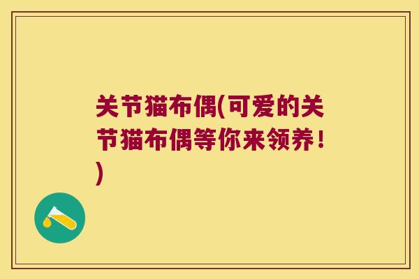 关节猫布偶(可爱的关节猫布偶等你来领养！)