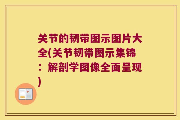 关节的韧带图示图片大全(关节韧带图示集锦：解剖学图像全面呈现)