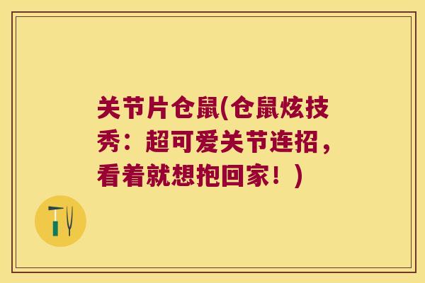关节片仓鼠(仓鼠炫技秀:超可爱关节连招,看着就想抱回家!) 关节片仓鼠(仓鼠炫技秀:超可爱关节连招,看着就想抱回家!)