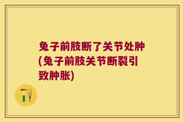 兔子前肢断了关节处肿(兔子前肢关节断裂引致) 兔子前肢断了关节处肿(兔子前肢关节断裂引致)