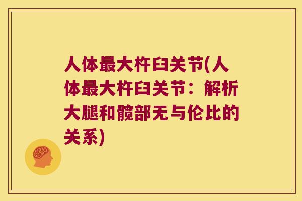 人体大杵臼关节(人体大杵臼关节：解析大腿和髋部无与伦比的关系)