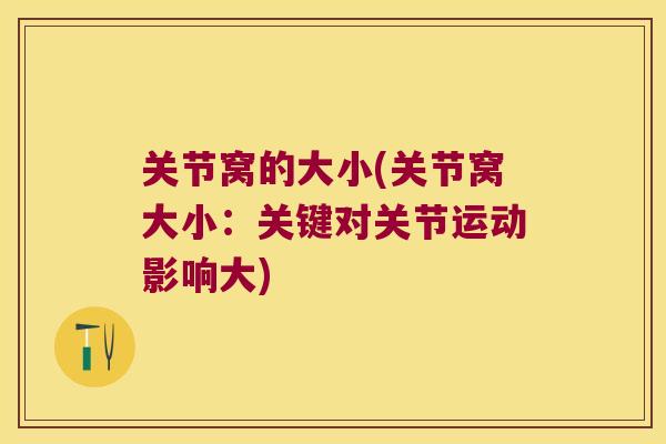 关节窝的大小(关节窝大小：关键对关节运动影响大)